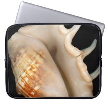 Muschel - Konchologie - Tritonshorn Laptop Schutzhülle