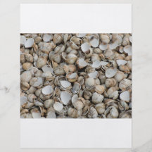 Muschelhintergrund Custom Flyer