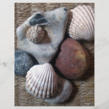 Muscheln auf Seegras Flyer