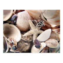 Muscheln Postkarten