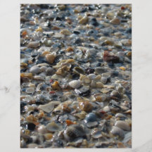 Muscheln und Kiesel Flyer Druck