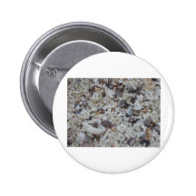 Muscheln von Strand Anstecknadel