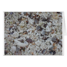 Muscheln von Strand Grußkarte