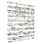 Musikalische Schwarzweiss-Anmerkungen Gespannter Galerie Druck