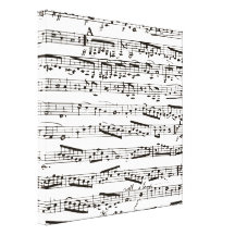Musikalische Schwarzweiss-Anmerkungen Gespannter Galerie Druck