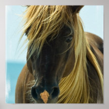Mustang-Pferdeplakat-Druck