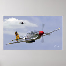 Mustang und Thunderbolt Plakatdruck