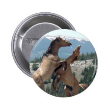 Mustangs Button