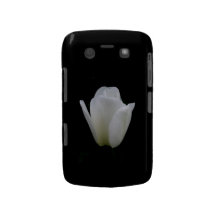 Mutiger Kasten des weißen Tulpe-BlackBerry Blackberry Bold Cover