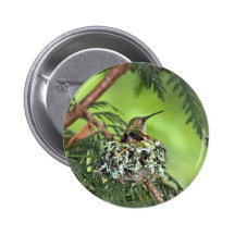 Mutter-Kolibri auf Nest Anstecknadelbutton