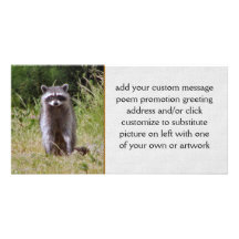 Mutter Raccoon Photogrußkarten