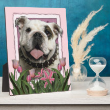Mutter-Tag - rosa Tulpen - Bulldogge Fotoplatten