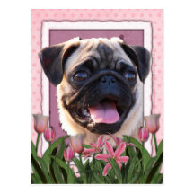 Mutter-Tag - rosa Tulpen - Mops Postkarte