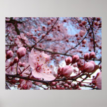 MUTTER-TAGESgeschenke Frühlings-Blüten-Kunst-Druck Poster