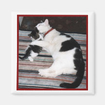 MUTTERCAT U. KÄTZCHEN KÜHLSCHRANKMAGNETE