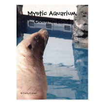 Mystische Aquarium-Postkarte