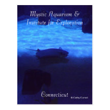Mystische Aquarium-Postkarte