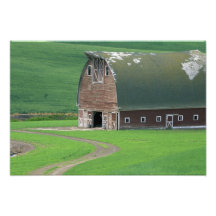 N.A., USA, Washington, Whitman County. Alt Fotografie