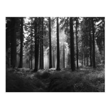 Nach der Regen-Postkarte