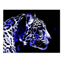 Nacht Jaguar Postkarte