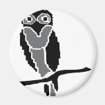 Nachteule Owlet Magnete