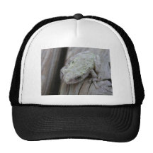 Nah oben vom weißen Baum-Frosch Baseball Kappen