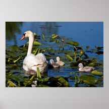 Nahe kommen Mamma Plakat