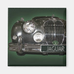 Nahes hohes des Jaguars Kühlschrankmagnet