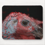 Nahes hohes Hauptfoto Toms die Türkei Mousepad