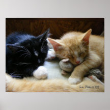 "Naptime " Plakate