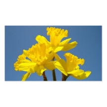 Narzissen-Blumen-Geschäfts-Kartenblumennatur Visitenkarte