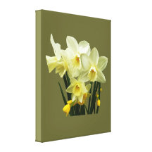 Narzissen und Knospen Gespannte Galeriedrucke