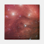 NASAs - rosa Pleiades Magnets