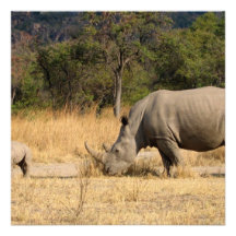 Nashorn-Familien-Einladung