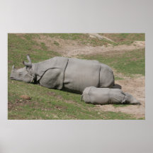 Nashorn und Baby-Plakat