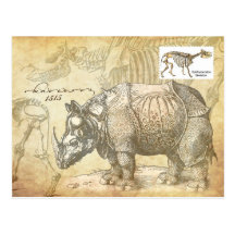 Nashorn und Skelett des 16. Jahrhunderts Postkarten