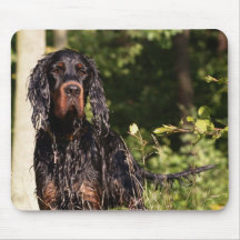 Nasser Gordon-Setzer Mousepad