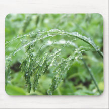 Nasses Gras 138 ~ mousepad