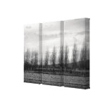 Natur Gespannte Galeriedrucke
