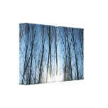 Natur Gespannter Galerie Druck