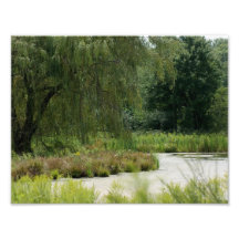 Natur-Land 11 x photographischer Druck 8,5