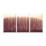 Natur Leinwand Drucke