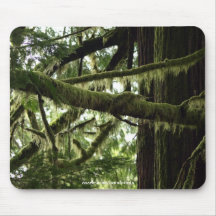 Natur-Liebhaber-Waldfoto Mousepad