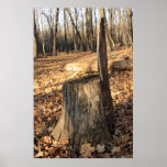 Natur nennt plakate