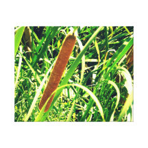 NATUR-WAND-KUNST LEINWANDDRUCKE