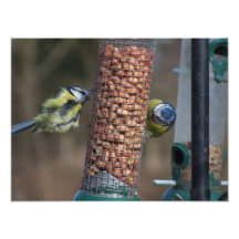 Naturdruck Photos