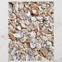 Natürliche Muscheln-Beschaffenheit Vollfarbige Flyer