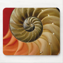 Nautilus-Muschel Foto Mousepad