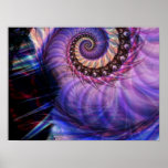 Nautilus Posterdrucke