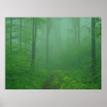 Nebeliger Wald Plakatdruck